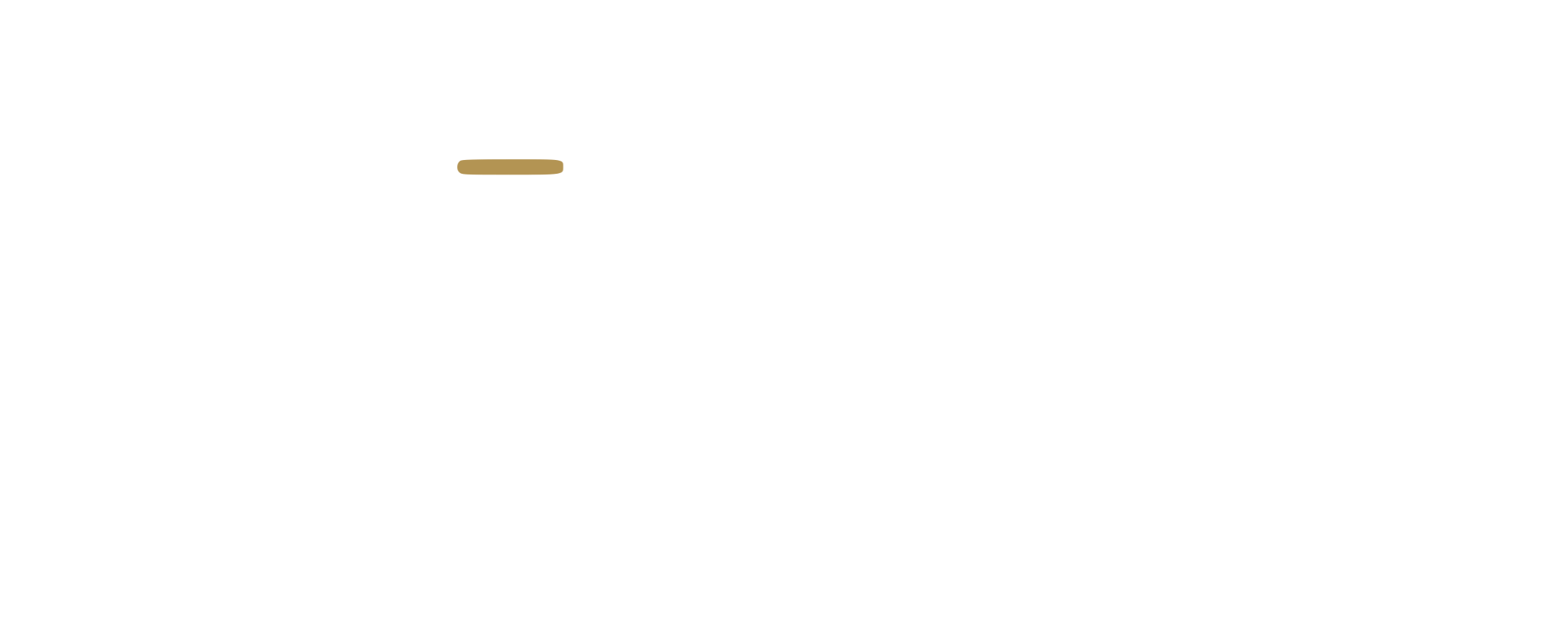 WISSAM SOUSOU